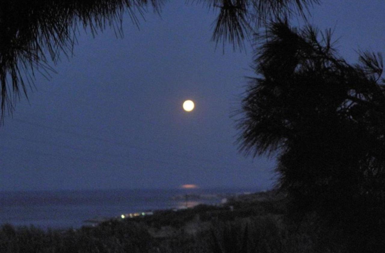 Studios Crete Ферма Екстериор снимка