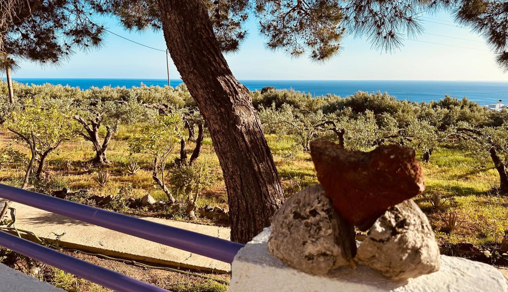 Studios Crete Ферма Екстериор снимка
