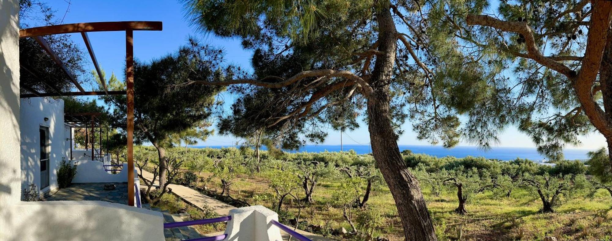 Studios Crete Ферма Екстериор снимка