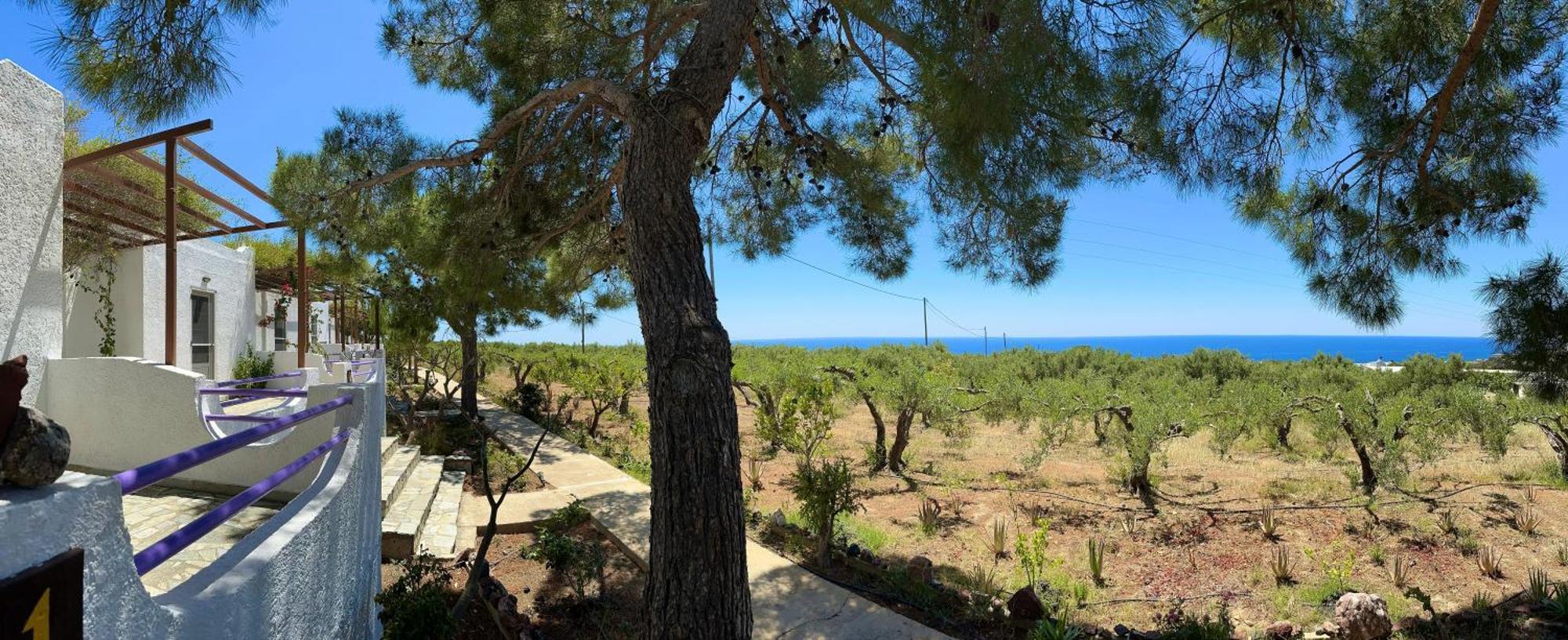 Studios Crete Ферма Екстериор снимка
