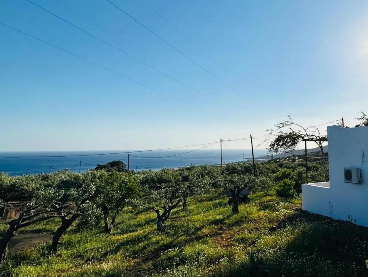 Studios Crete Ферма Екстериор снимка