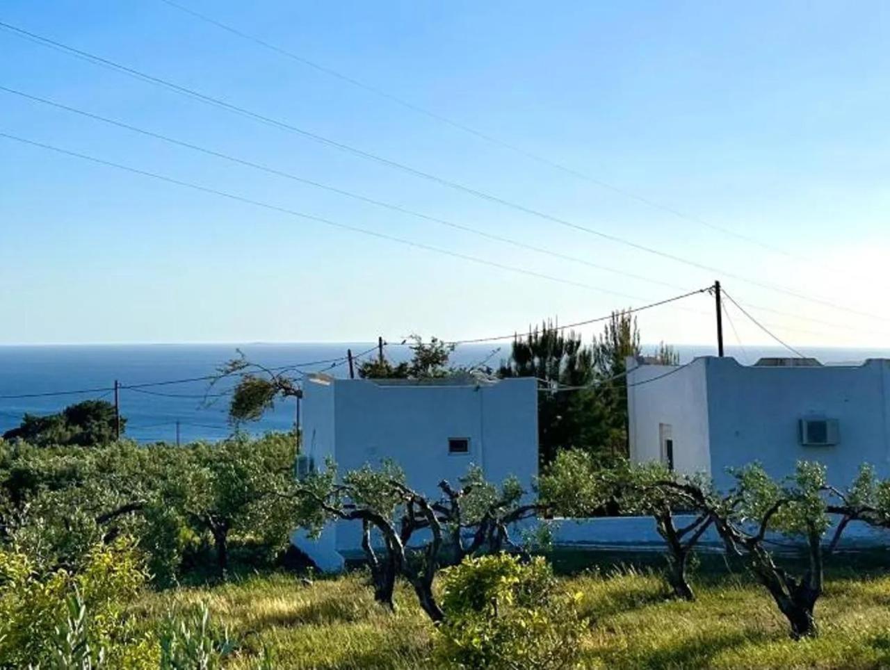 Studios Crete Ферма Екстериор снимка